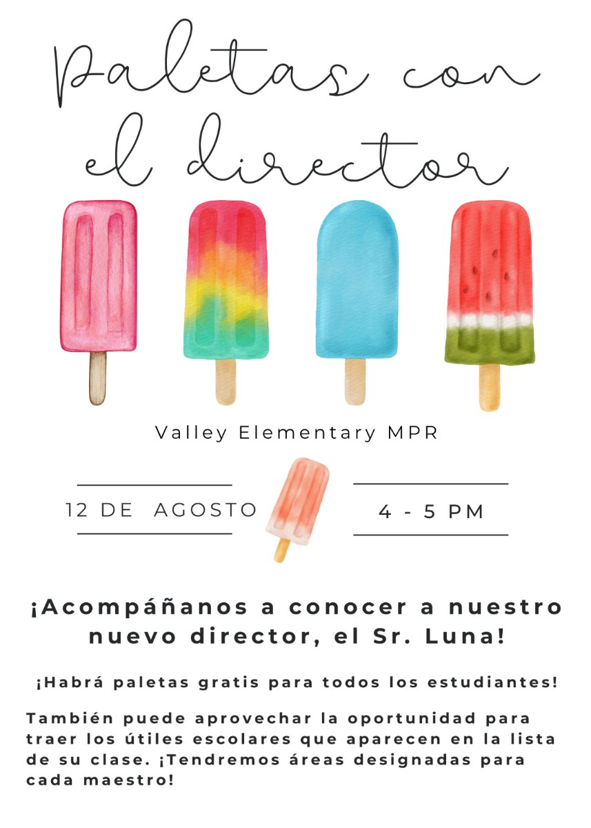cuatro paletas